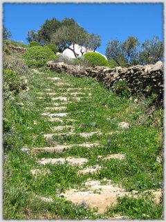 trail