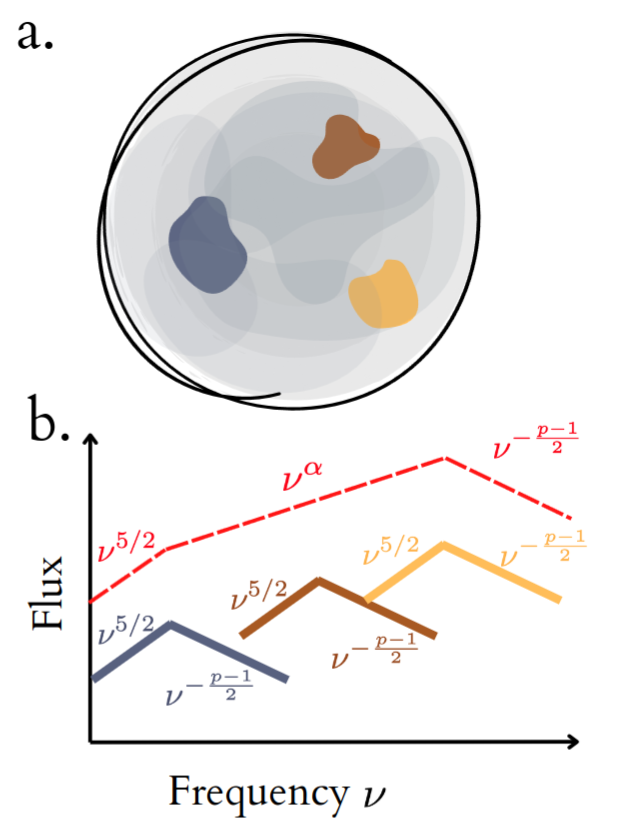 Radio synchrotron emission from an unresolved transient